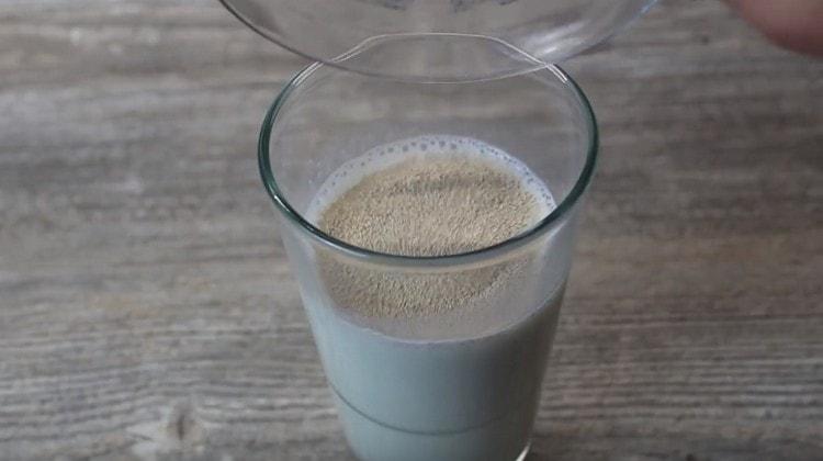Dans le lait tiède, diluez le sucre et la levure sèche.