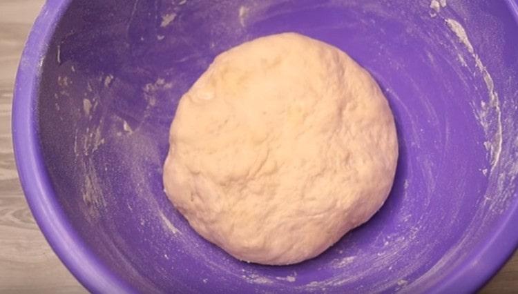 Knead the dough and leave it to rise in a warm place.