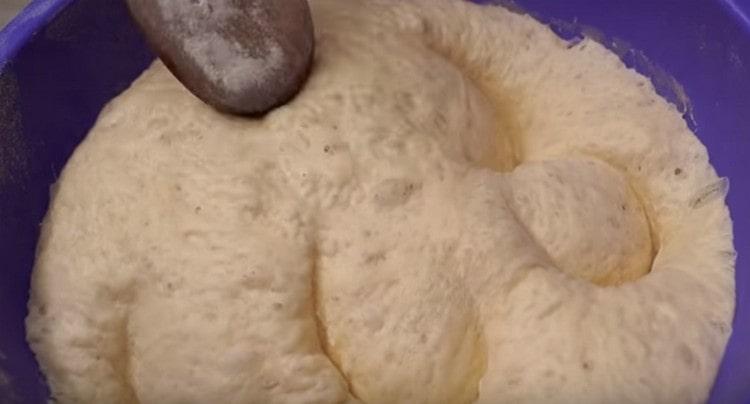 When the dough rises, it is necessary to knead it and wait until it comes up again.