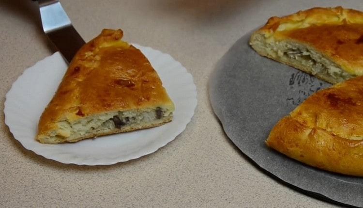 Tal pastel con pescado de masa de levadura será una excelente comida independientemente del tiempo.