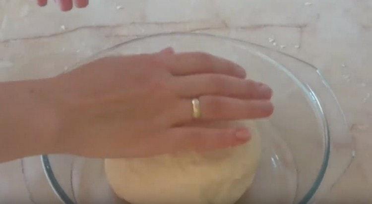 Put the resulting soft dough into a bowl greased with vegetable oil and leave it in a warm place.