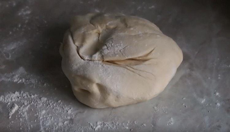 Knead the soft dough and leave it in a warm place.