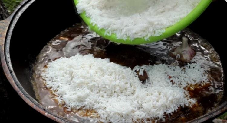 Extienda suavemente el arroz sobre el resto de los ingredientes.
