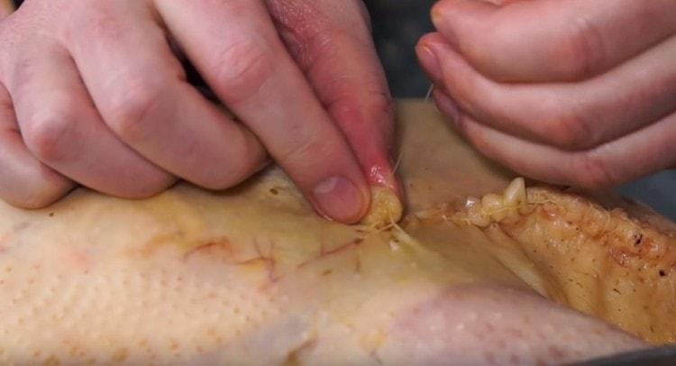 Sew the resulting chicken well.