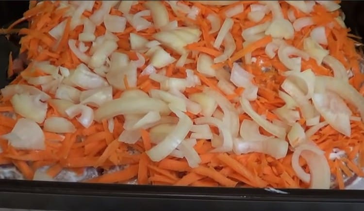 Nous répandons des carottes sur la mayonnaise. et puis l'arc.