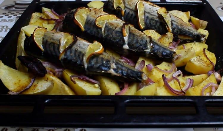 Mackerel in the oven with potatoes, cooked according to this recipe, is a wonderful full-fledged dish.