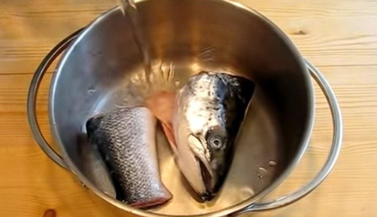 Para preparar el caldo, puede usar la cabeza y la cola del pescado.