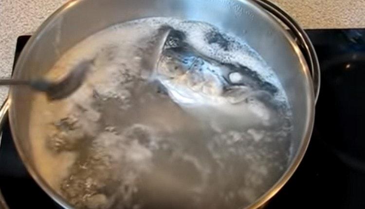 Ribu napunite vodom kad juha proključa, uklonite pjenu iz nje.