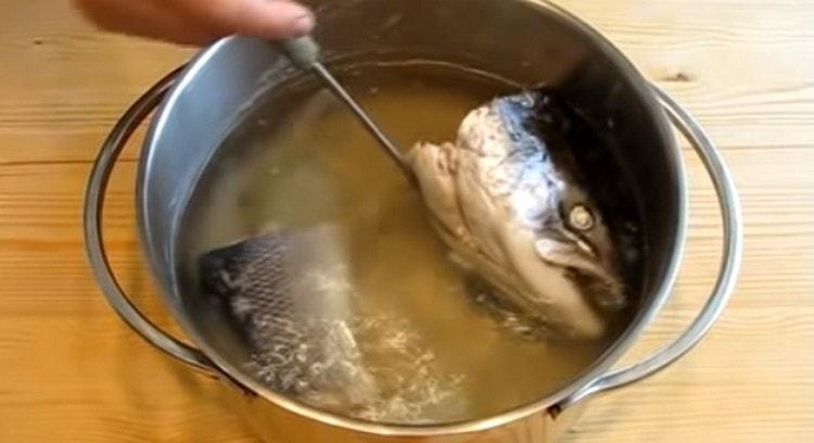 Retire el pescado y la cebolla del caldo terminado.