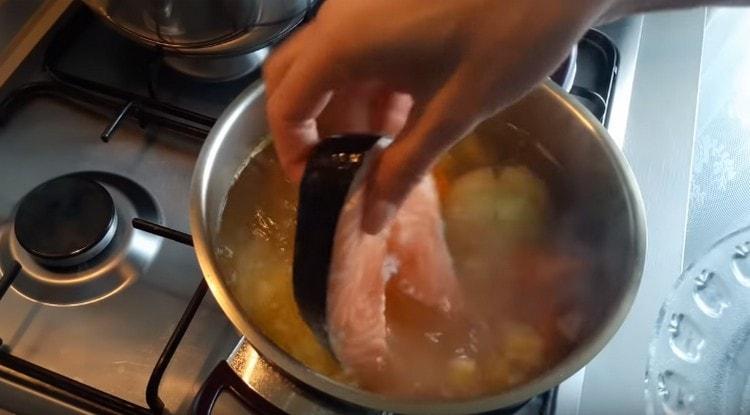 Nous mettons du poisson dans la soupe.