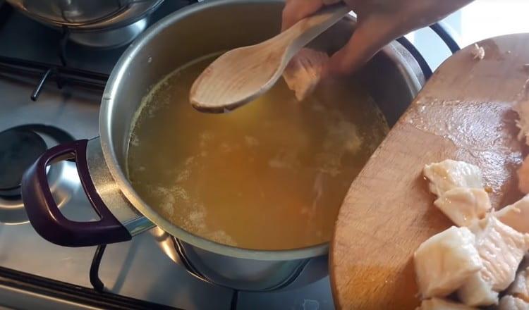 Des morceaux de poisson sont retournés à la soupe.