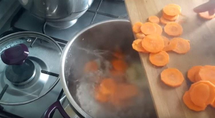Nous répandons la carotte après l'oignon.