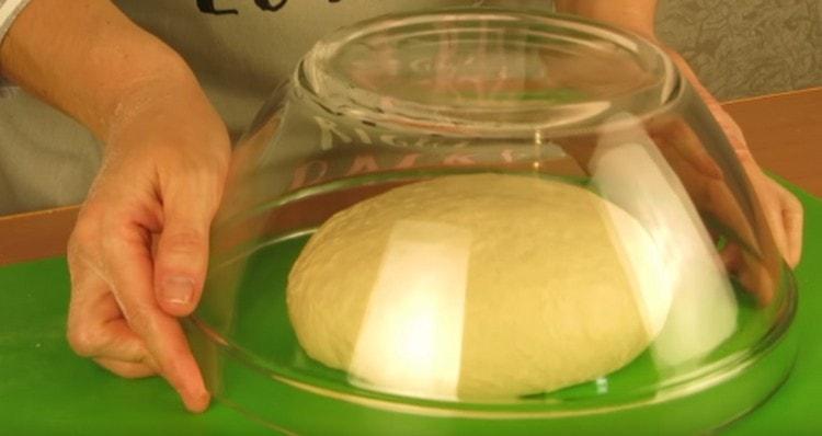 Cover the dough with a bowl and leave to rise in a warm place.