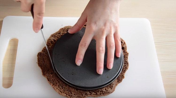 From the finished cake, cut out a circle of the desired diameter.