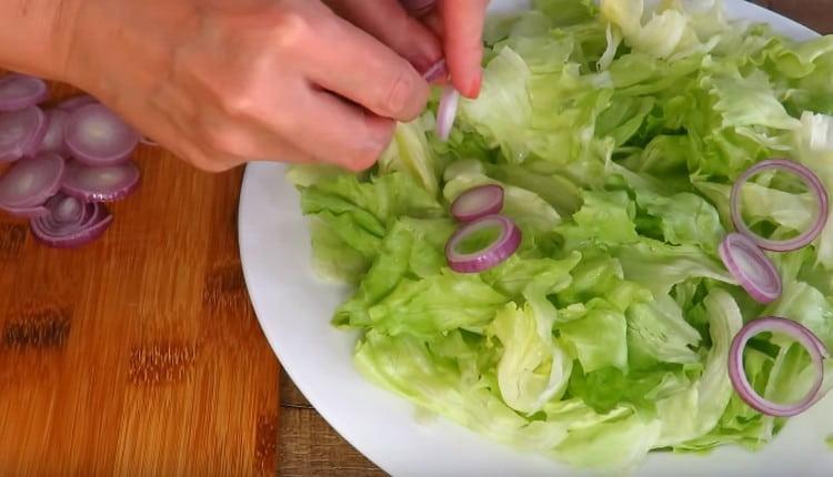 Encima de la lechuga, coloque los anillos de chalota.