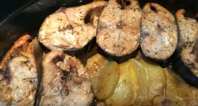 As you can see, this recipe for cooking tuna in the oven is simple and affordable.