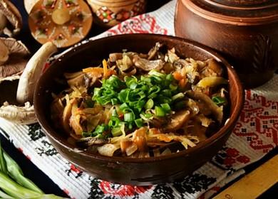Fragrant stewed cabbage with mushrooms: cooked according to the recipe with step by step photos.