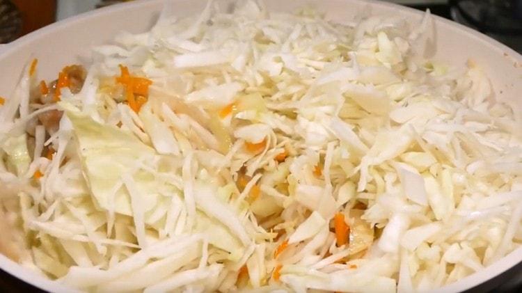 Add cabbage to vegetables with meat, mix.