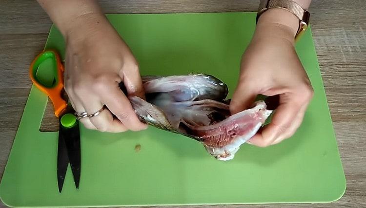 From the head of the pike with kitchen scissors we remove the gills.