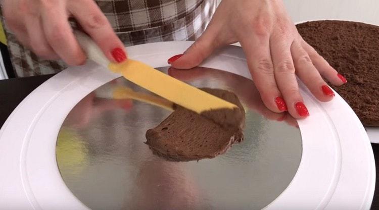 Graisser le substrat de gâteau avec de la crème.