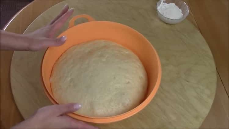 To make a meat pie, let the dough stand