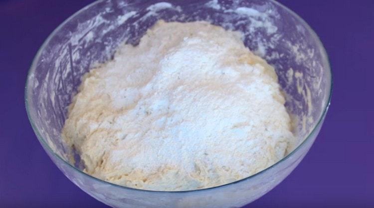 Knead the dough, gradually adding flour.