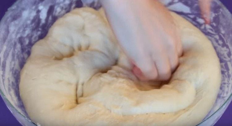 The dough should turn out soft, it should rise in a warm place.