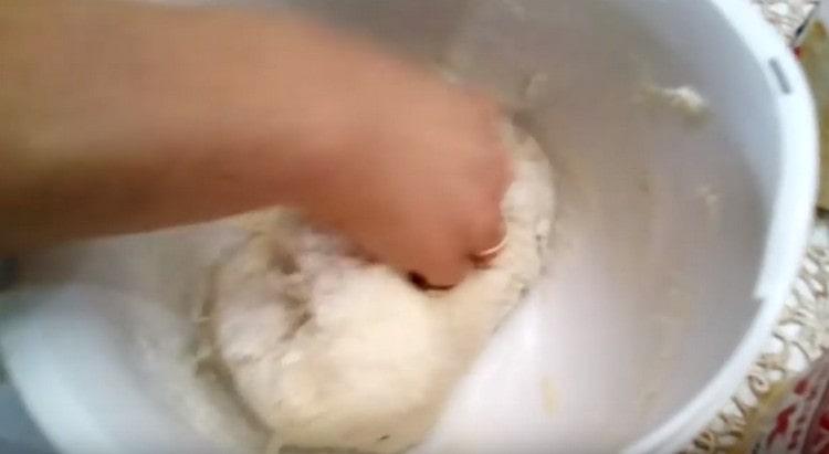 Knead the dough.