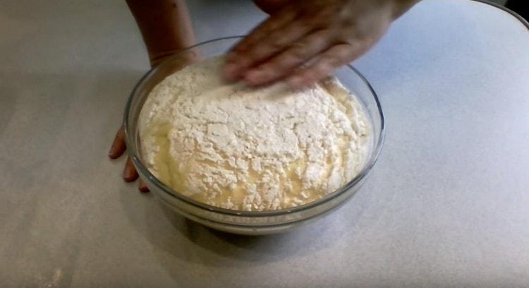 laissez la pâte dans un endroit chaud afin qu'elle s'adapte.