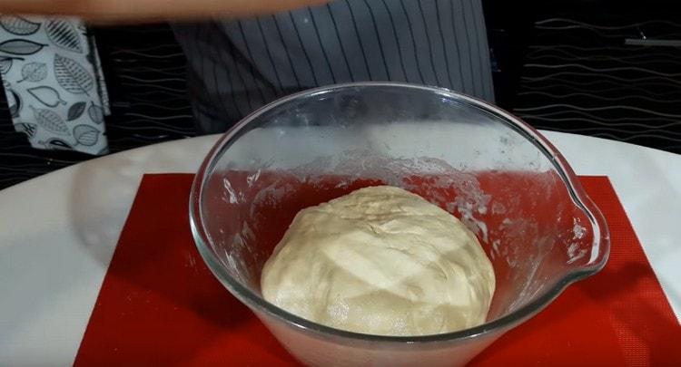 Knead the soft dough, leave it in a warm place.