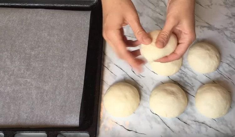 Una vez más, amasamos las bolas de masa, las devolvemos a una forma hermosa y las colocamos en una bandeja para hornear cubierta con pergamino.