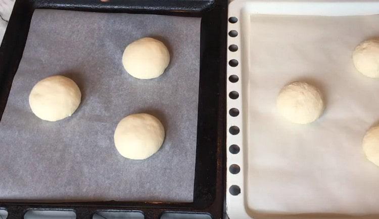 Los bollos en una bandeja para hornear se deben colocar a una gran distancia el uno del otro.