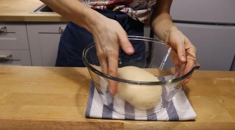 Put the prepared dough in a bowl greased with vegetable oil.