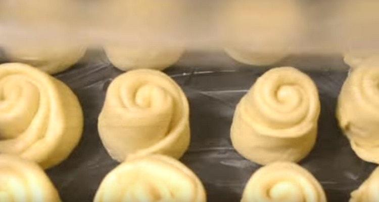 Étaler les petits pains obtenus sur une plaque à pâtisserie graissée.