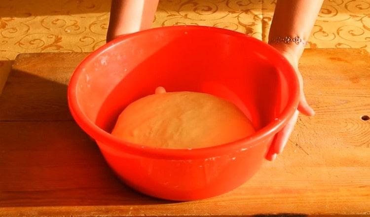 The dough should rise well in a warm place.