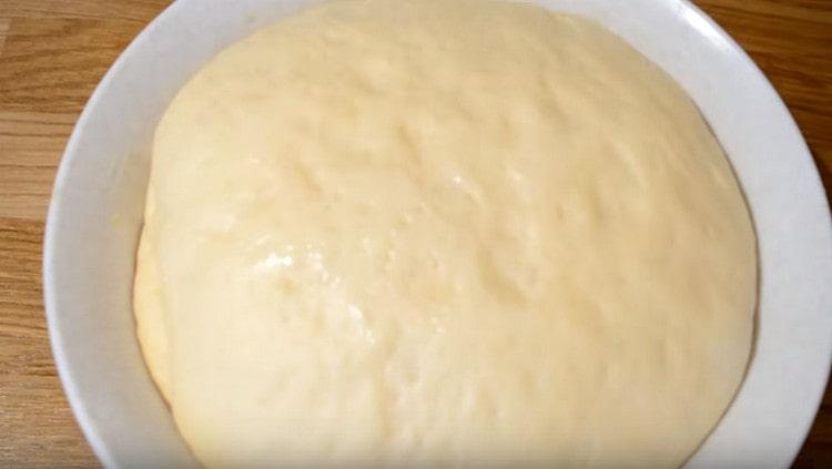 Pendant 15 minutes supplémentaires, mettez la pâte dans un bol, elle remontera bien.