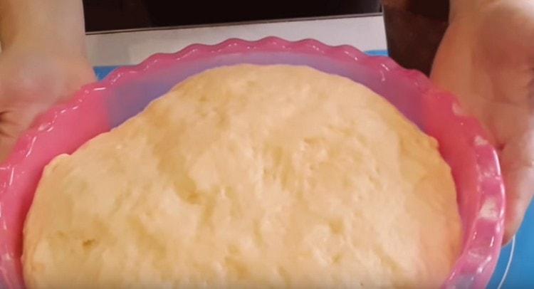 The dough rises very well.