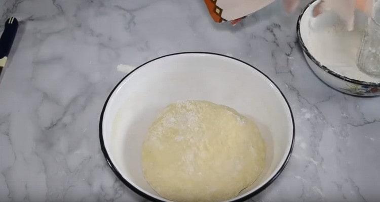 Nous mettons la pâte finie dans un bol et la plaçons dans un endroit chaud afin qu'elle se lève.