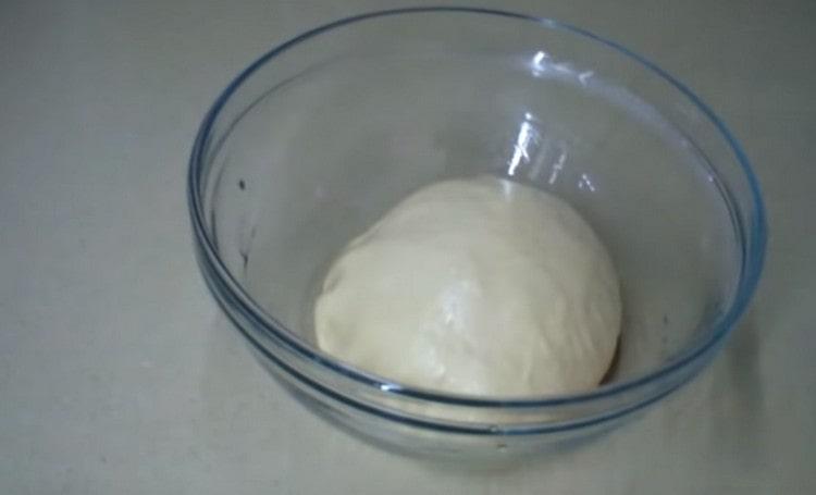 Put the finished dough in a bowl greased with vegetable oil.