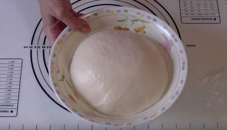 Such a dough rises quickly and well.