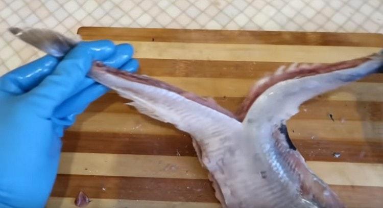 Dividing the tail of the herring in half, we stretch the carcass in different directions, tearing it.