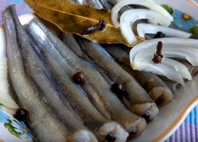 Delicious capelin spicy salting - how to cook at home