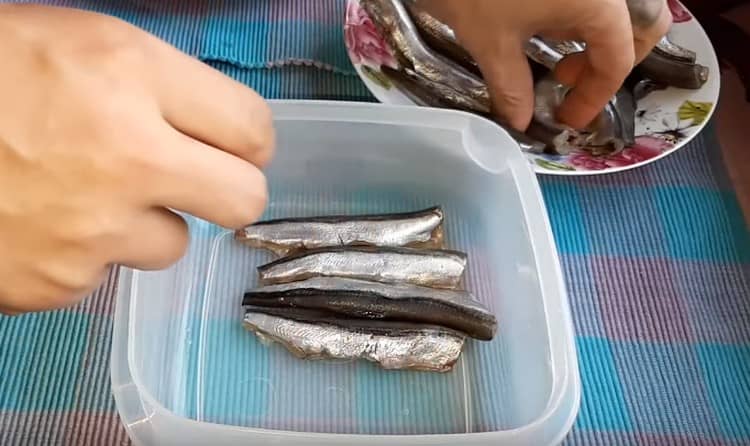 Nous ajoutons le capelan en couche dense dans un récipient pour aliments.