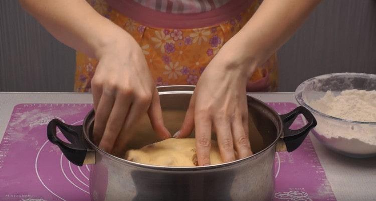 We spread the dough in a large pan sprinkled with flour or a bowl.