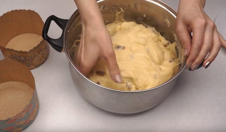 Nous écrasons la pâte qui est remontée et formons des gâteaux.
