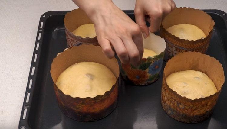 Put the dough in forms on a baking sheet.