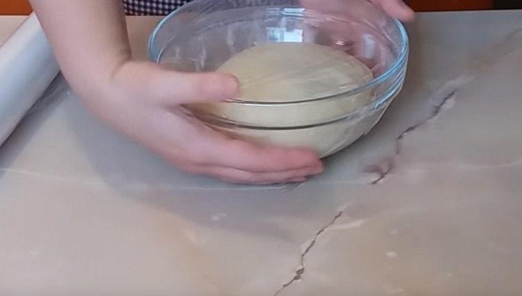 Cubrimos el bol con la masa y lo colocamos en un lugar cálido.