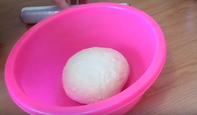 Knead the dough thoroughly and put it in a roomy bowl.