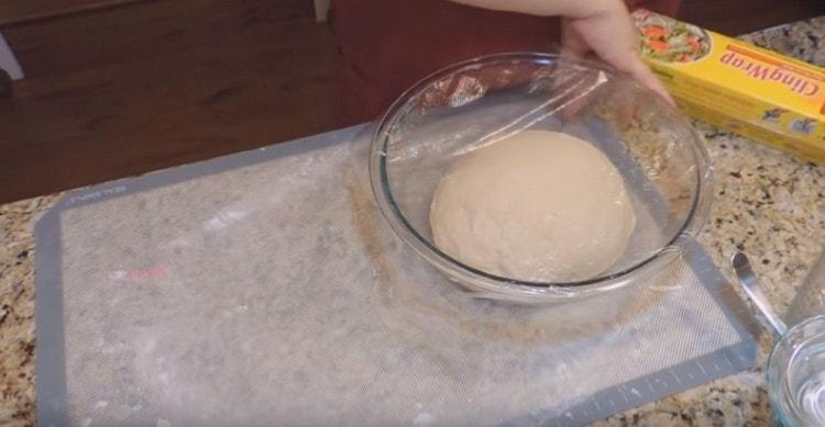 Put the finished dough in a bowl greased with vegetable oil, and leave it to rise.