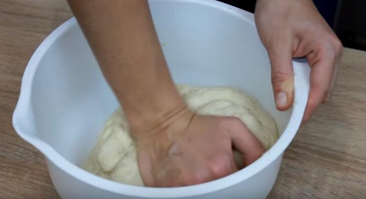 Knead the soft dough.